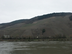 Adler